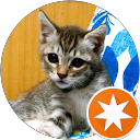 Tomo Takan profile picture