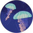 hydrangea profile picture